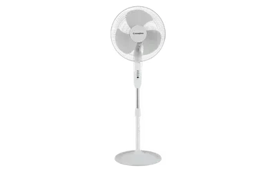 Pedestal fan